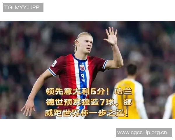 哈兰德在欧洲世预赛中独进9球超越39支球队的进球总和